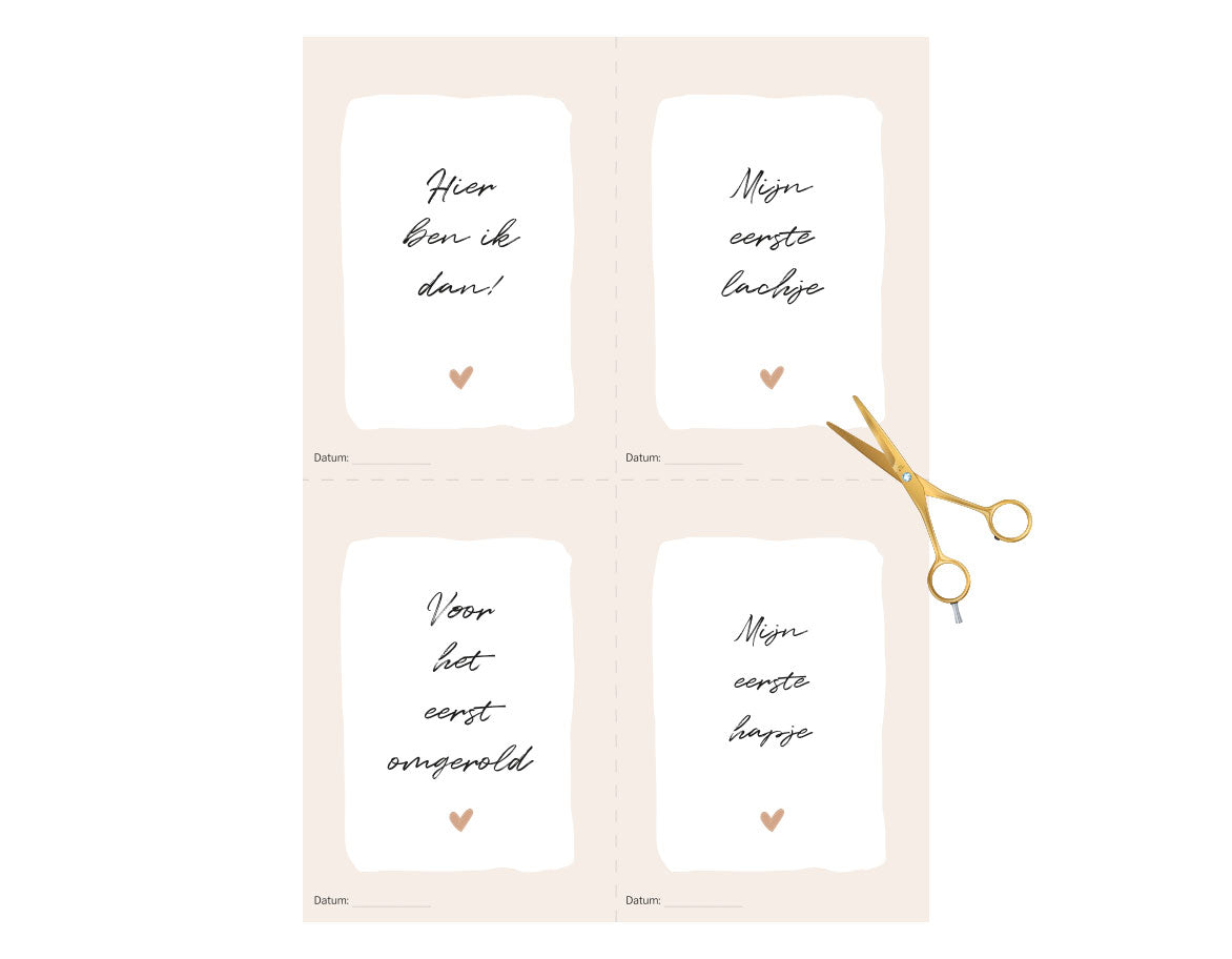 Mijlpaalkaarten Baby | Eerste jaar | 40 kaartjes | Printable